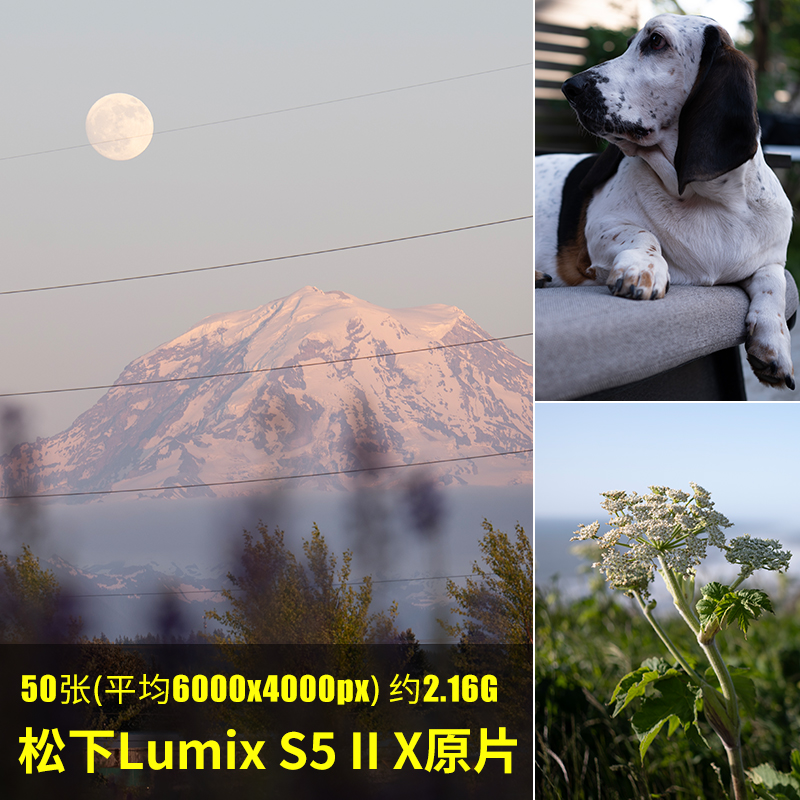 松下LumixS5IIX原片原图RAW+JPG相机直出图练习未修图参考素材图