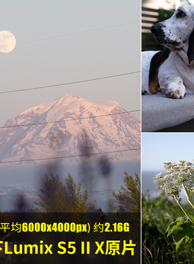 松下LumixS5IIX原片原图RAW+JPG相机直出图练习未修图参考素材图