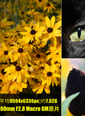 索尼100mmF2.8Macro GM原片RAW+JPG相机直出未修原图高清素材图片