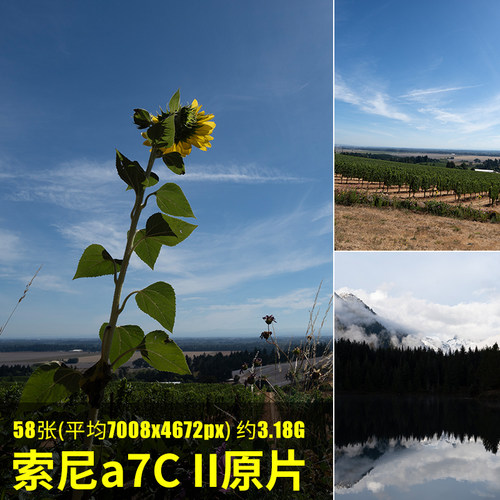 索尼a7CII原片原图RAW+JPG相机直出图练习未修图参考素材样片图片