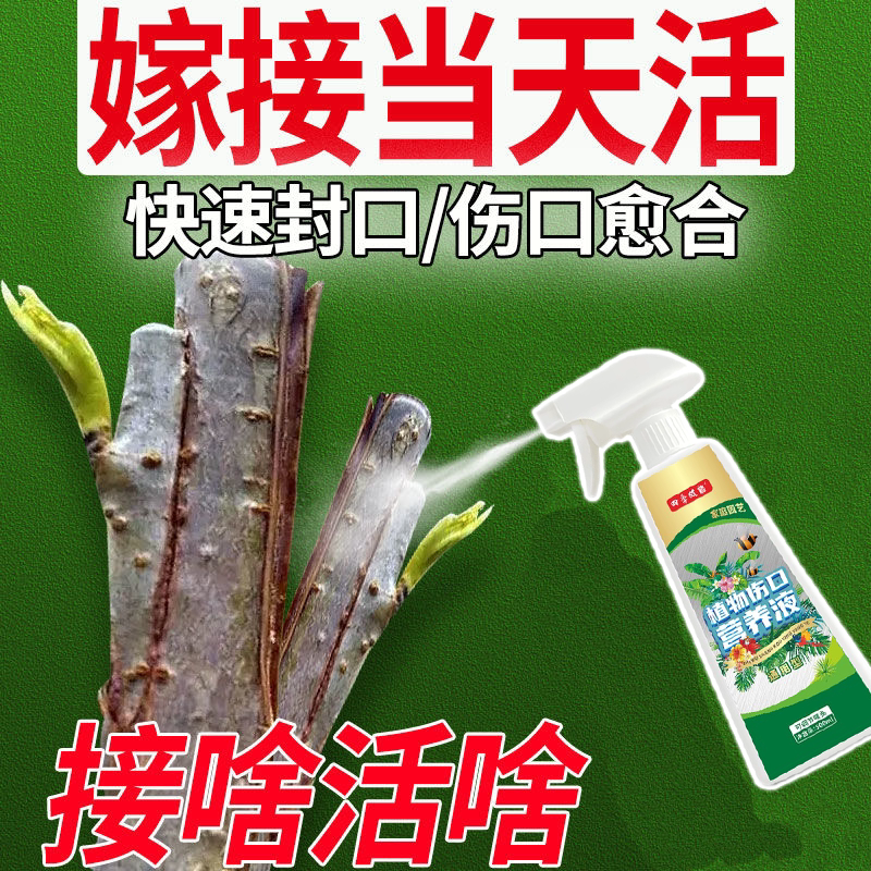 嫁接伤口愈合剂树木果树神器植物盆景封口膏树花卉枝扦插育苗药水