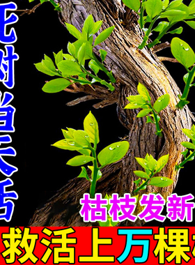 植物复活液生根液植物通用再生剂扦插营养液生根药水粉大树木移栽