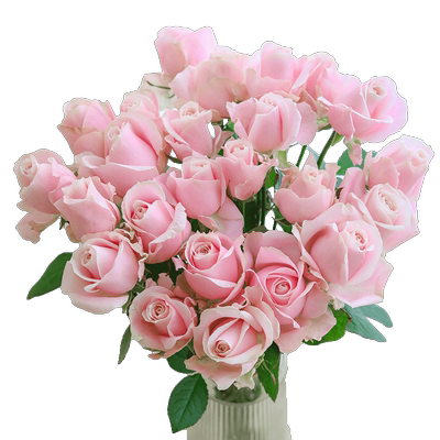 如意随机玫瑰鲜切花家庭高品质顺丰包邮基地直发坏损包赔