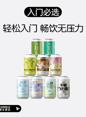 纸飞机酿造 入门必选组合装 茶啤康普茶IPA 低度畅饮国产精酿啤酒
