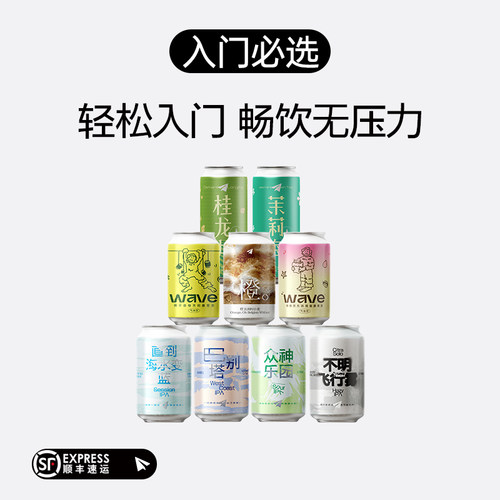 纸飞机酿造 入门必选组合装 茶啤康普茶IPA 低度畅饮国产精酿啤酒