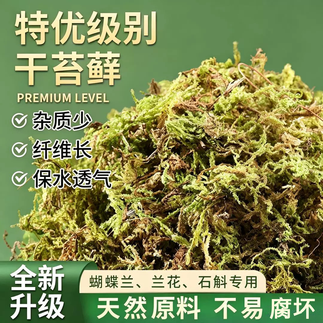 天然干苔藓蝴蝶兰专用 保湿透气干净无杂 兰花种植铺面营养青苔