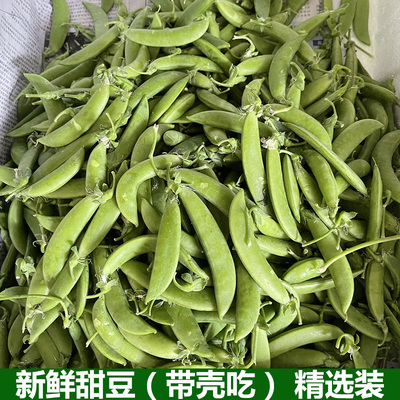 新鲜甜豆带壳甜豆青豆鲜豌豆荚青豌豆非荷兰豆甜豌豆农家蔬菜包邮