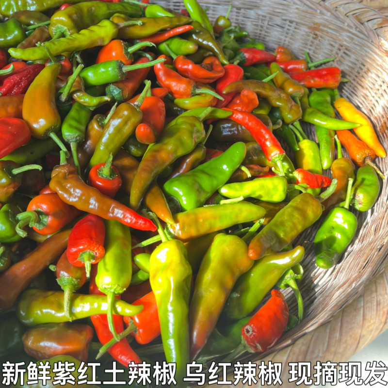 湖北农家自种露天土辣椒紫红辣椒鲜红辣椒乌红土辣椒做酱剁椒包邮
