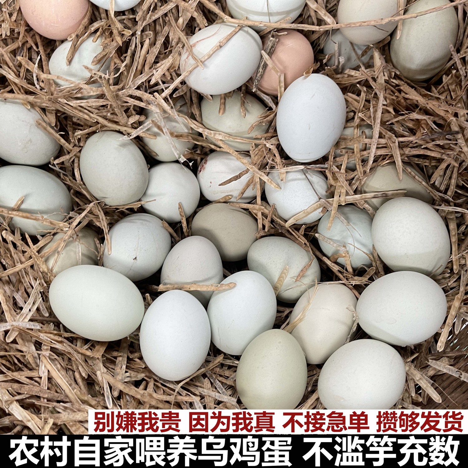 土鸡蛋乌鸡蛋30枚正宗新鲜
