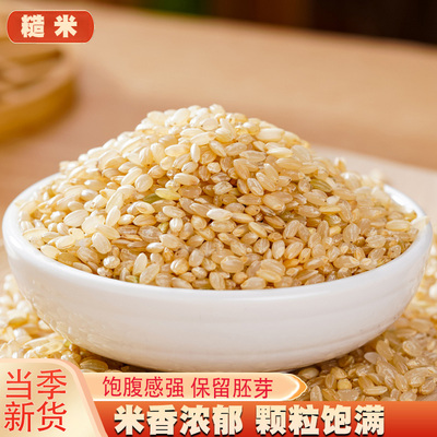 5斤糙米低脂饱腹健身主食新米