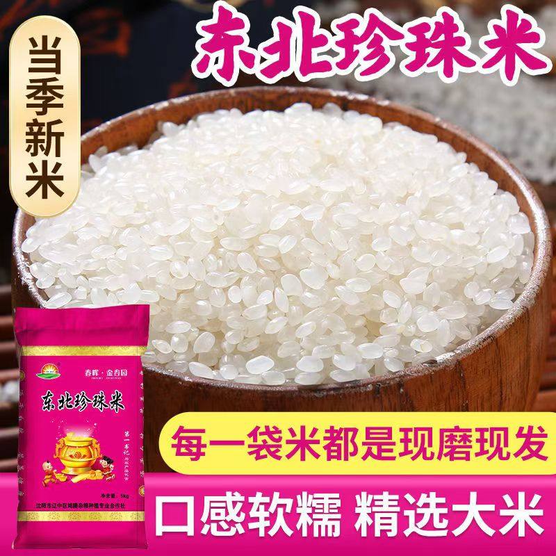 东北大米20斤批发价当季新米