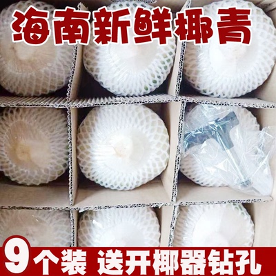 海南椰青新鲜9个装去皮
