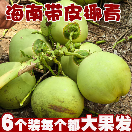 6个装海南带皮椰青新鲜孕妇水果