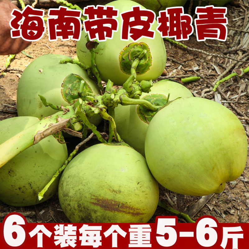 海南新鲜带皮椰青6个装椰子孕妇热带水果嫩果青椰汁大果现摘现发