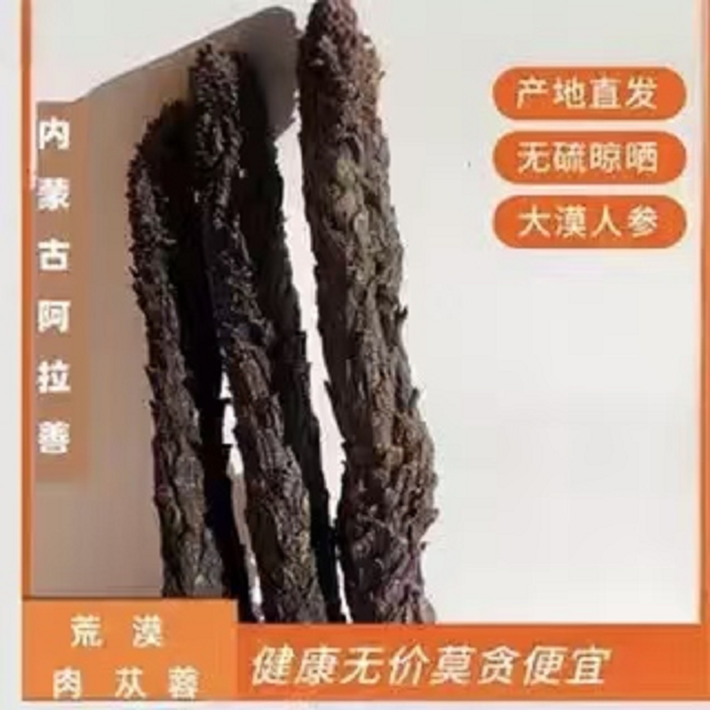 野生肉苁蓉内蒙古阿拉善肉苁蓉男性滋补品泡酒泡茶黄精金锁阳包邮