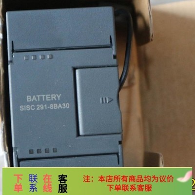 议价现货促销 BATTERY SISC 291-8BA30 现货 实物拍摄询价