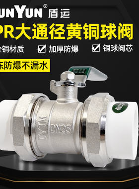 盾运全铜PPR双活接铜球阀4分6分1寸阀门DN20DN25DN32热熔双头活接