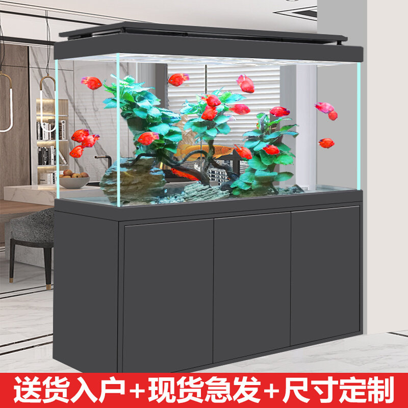 龙鱼缸龙鱼缸鱼缸客厅2025新款底滤造景超白入户门隔断玄关龙鱼缸