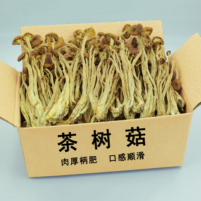 茶树菇干货不开伞天然野生菌菇剪根农家香菇煲汤老鸭汤食材非特级