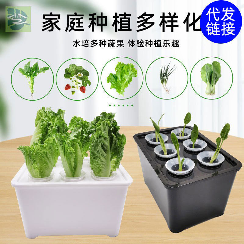 15孔水培蔬菜种植箱无土栽培阳台种菜水培植物育苗儿童教学种菜机,宠物/宠物食品及用品,生态瓶/创意缸/微景缸,淘宝优惠券,粉丝福利购,淘宝优惠卷