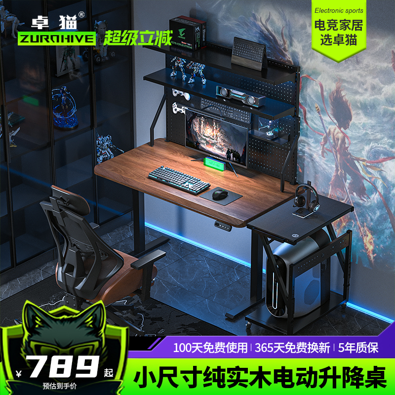 小户型3CM实木洞洞板电动升降桌