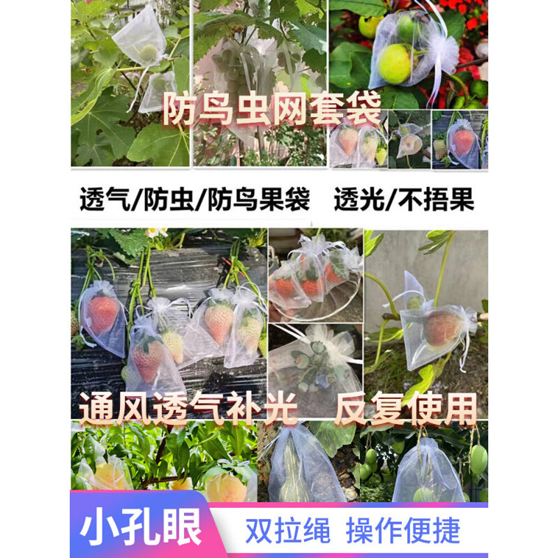现货速发水果套袋果实网袋番茄葡萄无花果草莓防虫防鸟保护袋草莓