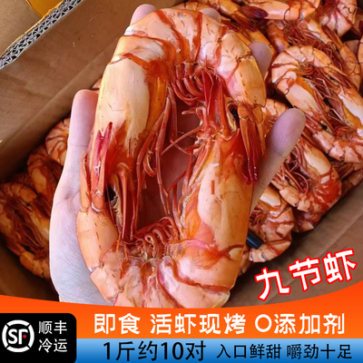 九节虾干即食特大号斑节虾对虾海鲜干货孕妇宝宝零食500g新货现烤
