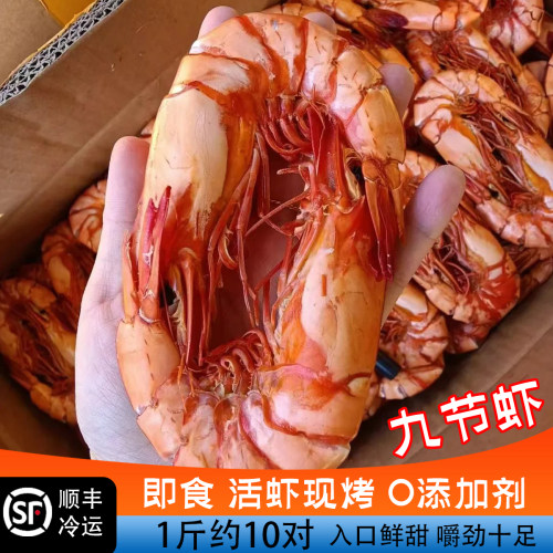 九节虾干即食特大号斑节虾对虾海鲜干货孕妇宝宝零食500g新货现烤