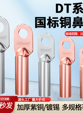 DT铜鼻子紫铜堵油接线端子国标电缆铜接头25/50/95平方镀锡铜线耳