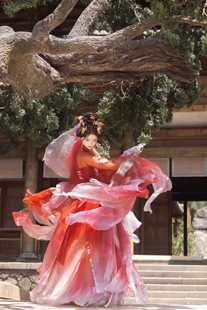 绯颜 子颂东方美学游园惊梦 重工诃子裙 手缝亮片