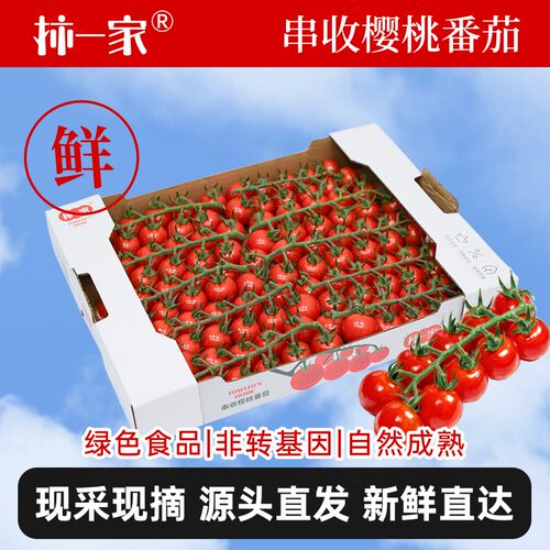 【柿一家】新鲜现摘樱桃番茄酸甜爆汁水果自然成熟1.5kg小番茄