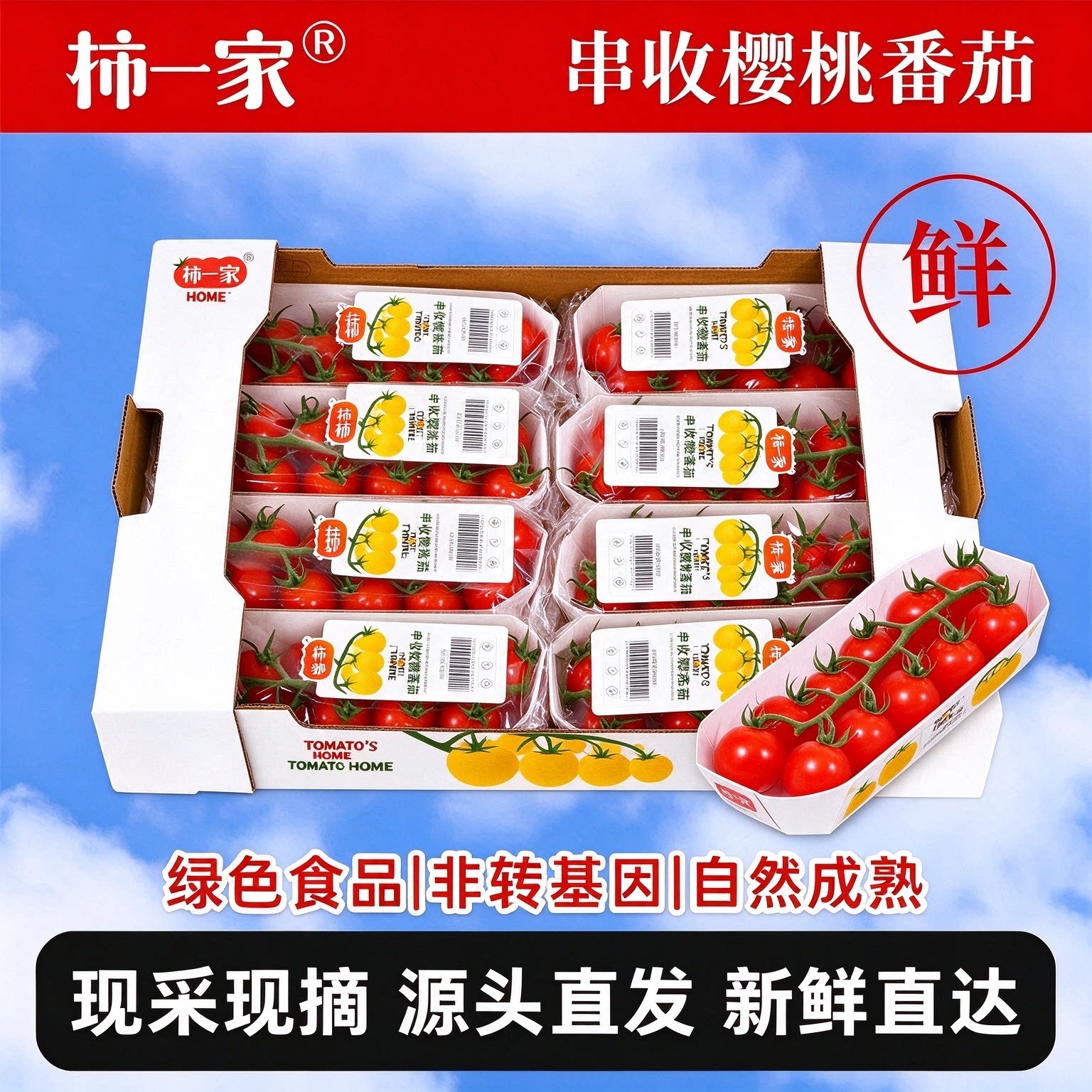 柿一家串收小番茄123g/盒顺丰包邮即食美味饱满解腻清甜顺丰包邮