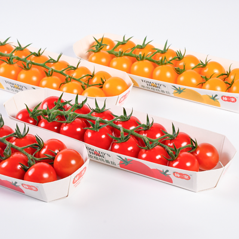 串收樱桃番茄柿一家农残检测合格