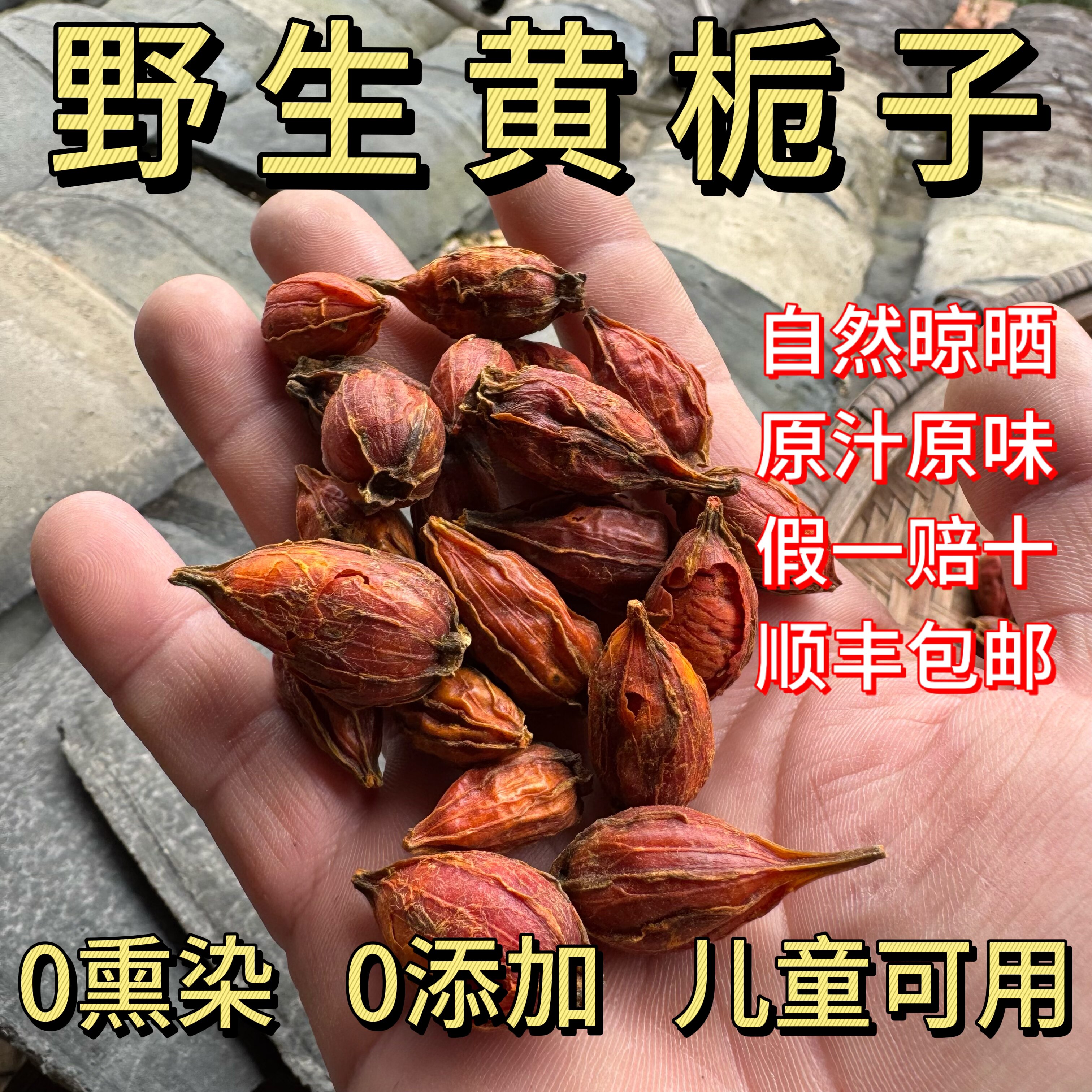 野生黄栀子深山采摘自然晾晒黄栀子干货中药材原料纯野生无熏硫