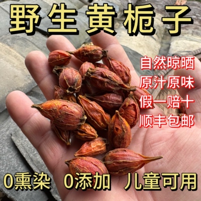 野生黄栀子深山采摘自然晾晒黄栀子干货中药材原料纯野生无熏硫