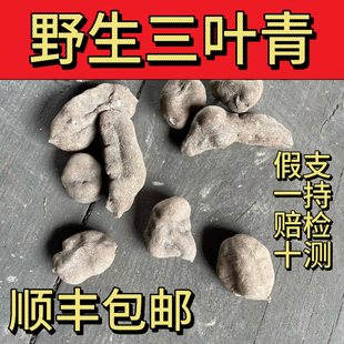 野生三叶青野生金线吊葫芦三叶对破石珠石老鼠蛇附子无熏硫