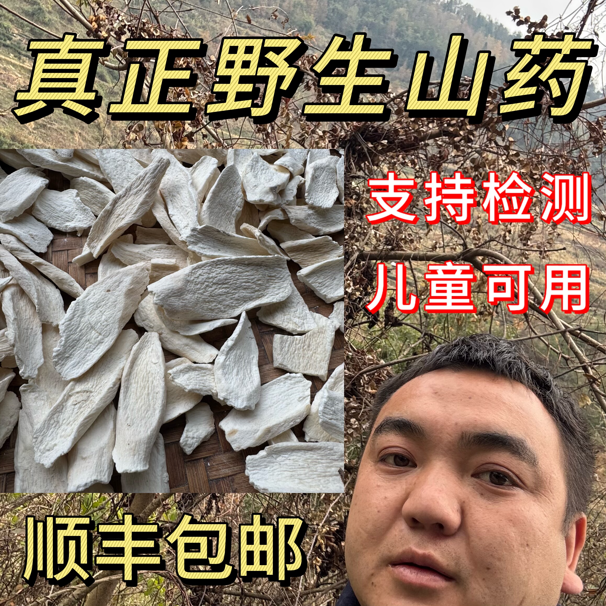 纯野生山药干片深山采挖铁棍山药野生山药中药材原料无熏硫