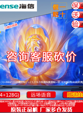 Hisense/海信 100E5Q 100英寸 超画质U+MiniLED 柔光防眩屏电视机