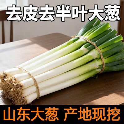 山东铁杆大葱新鲜现挖长白大葱去皮半叶甜辣葱现摘农家自种鲜嫩葱