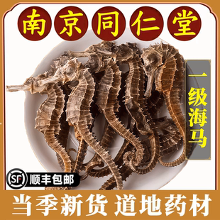 南京同仁堂正品 海马中药材三斑海马一对泡酒煲汤温肾滋补特级原料