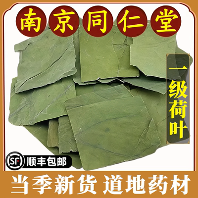 南京同仁堂正品荷叶片泡水中药材