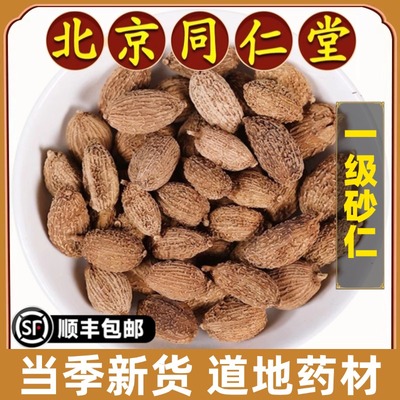 北京同仁堂正品砂仁中药材原材料