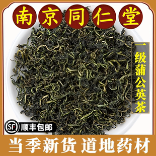 南京同仁堂正品蒲公英茶中药材婆婆丁浦公英叶根野生去火叶根茶