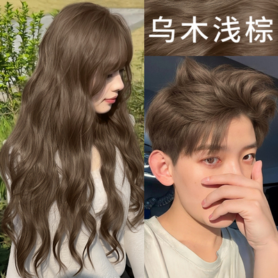 乌木浅棕色染发剂植物刺无激纯正品2026潮款流行色新款在家染发膏