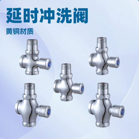 冲洗阀蹲便器大便手按式延迟阀延
