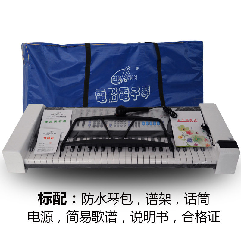 新韵xy-833电子琴 54键数码钢琴键成人儿童初学入门教学厂家直销