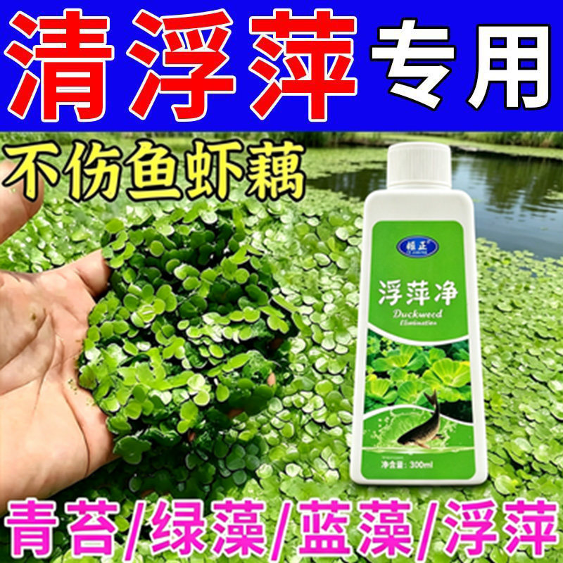 鱼池净水剂鱼塘净水除藻去苔剂青苔清除剂鱼缸除浮萍清池塘变清