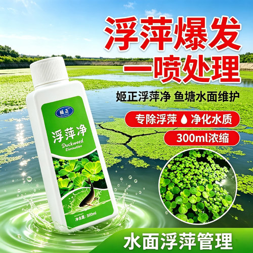 浮萍净正品浮萍清除剂专杀浮萍克星鱼虾蟹塘养殖浮萍一扫光非鱼药