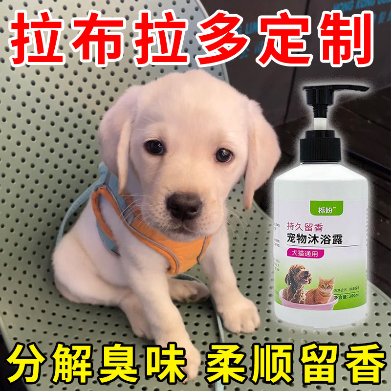 拉布拉多专用沐浴露亮白去黄狗狗白毛犬沐浴液宠物狗清洁用品香波