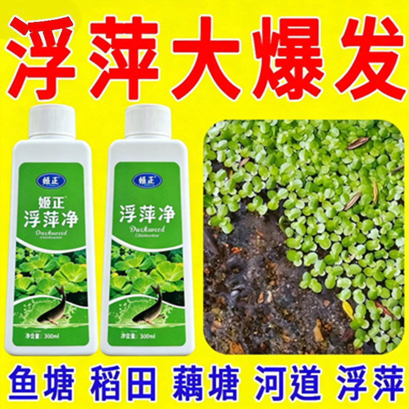 鱼池净水剂鱼塘净水除藻去苔剂青苔清除剂鱼缸除浮萍清池塘变清